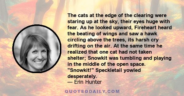 The cats at the edge of the clearing were staring up at the sky, their eyes huge with fear. As he looked upward, Fireheart heard the beating of wings and saw a hawk circling above the trees, its harsh cry drifting on