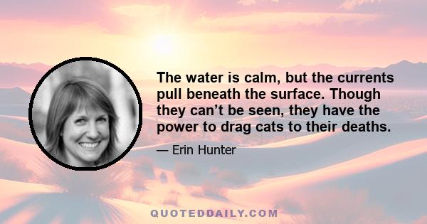 The water is calm, but the currents pull beneath the surface. Though they can’t be seen, they have the power to drag cats to their deaths.