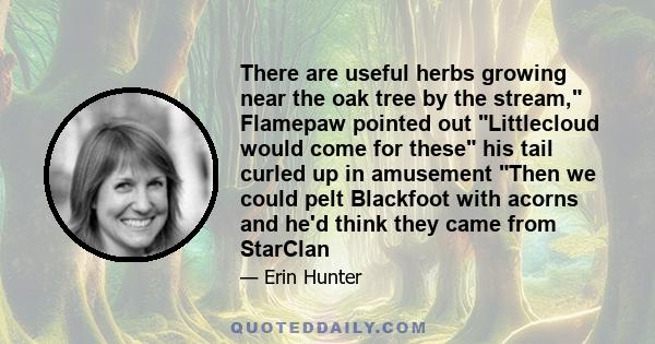 There are useful herbs growing near the oak tree by the stream, Flamepaw pointed out Littlecloud would come for these his tail curled up in amusement Then we could pelt Blackfoot with acorns and he'd think they came