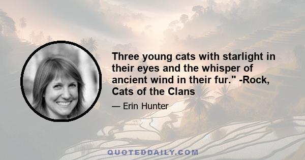 Three young cats with starlight in their eyes and the whisper of ancient wind in their fur. -Rock, Cats of the Clans