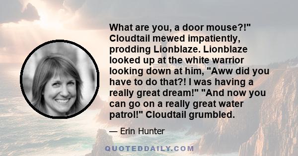 What are you, a door mouse?! Cloudtail mewed impatiently, prodding Lionblaze. Lionblaze looked up at the white warrior looking down at him, Aww did you have to do that?! I was having a really great dream! And now you