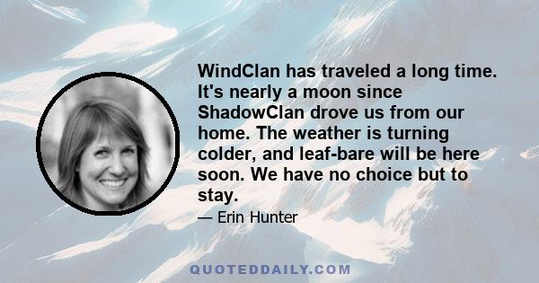 WindClan has traveled a long time. It's nearly a moon since ShadowClan drove us from our home. The weather is turning colder, and leaf-bare will be here soon. We have no choice but to stay.