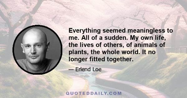 Everything seemed meaningless to me. All of a sudden. My own life, the lives of others, of animals of plants, the whole world. It no longer fitted together.