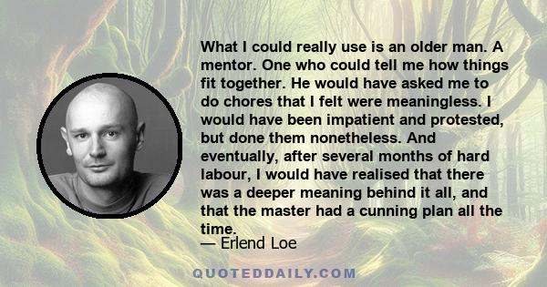 What I could really use is an older man. A mentor. One who could tell me how things fit together. He would have asked me to do chores that I felt were meaningless. I would have been impatient and protested, but done