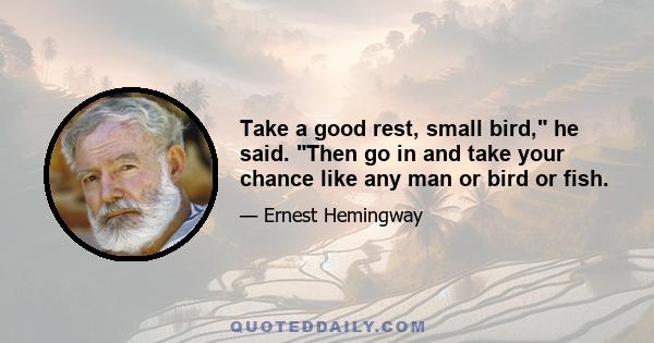 Take a good rest, small bird, he said. Then go in and take your chance like any man or bird or fish.