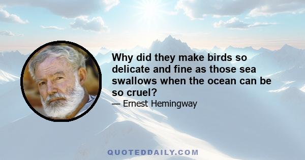 Why did they make birds so delicate and fine as those sea swallows when the ocean can be so cruel?