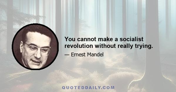 You cannot make a socialist revolution without really trying.