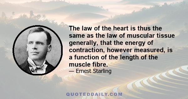 The law of the heart is thus the same as the law of muscular tissue generally, that the energy of contraction, however measured, is a function of the length of the muscle fibre.