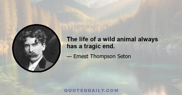 The life of a wild animal always has a tragic end.