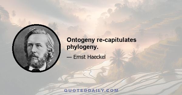 Ontogeny re-capitulates phylogeny.