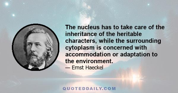 The nucleus has to take care of the inheritance of the heritable characters, while the surrounding cytoplasm is concerned with accommodation or adaptation to the environment.