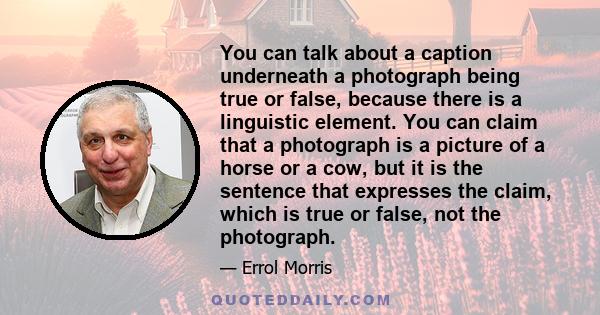 You can talk about a caption underneath a photograph being true or false, because there is a linguistic element. You can claim that a photograph is a picture of a horse or a cow, but it is the sentence that expresses