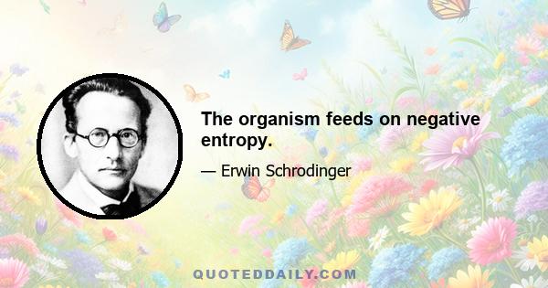 The organism feeds on negative entropy.