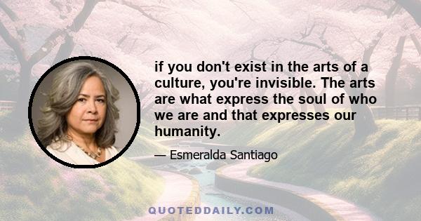 if you don't exist in the arts of a culture, you're invisible. The arts are what express the soul of who we are and that expresses our humanity.