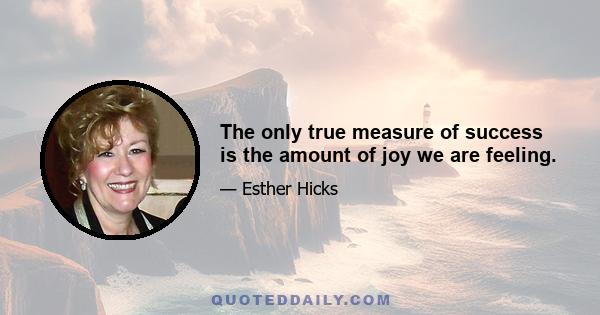 The only true measure of success is the amount of joy we are feeling.