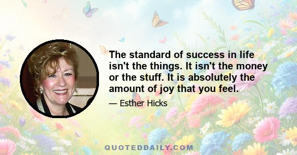 The standard of success in life isn't the things. It isn't the money or the stuff. It is absolutely the amount of joy that you feel.