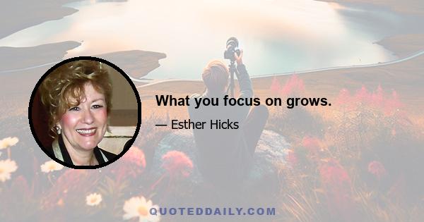 What you focus on grows.