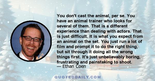 You don't cast the animal, per se. You have an animal trainer who looks for several of them. That is a different experience than dealing with actors. That is just difficult. It is what you expect from an animal on the