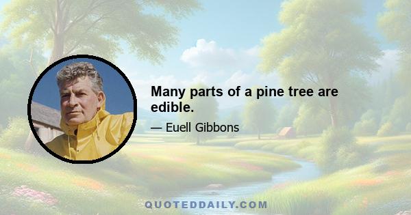 Many parts of a pine tree are edible.