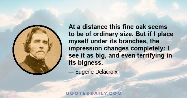 At a distance this fine oak seems to be of ordinary size. But if I place myself under its branches, the impression changes completely: I see it as big, and even terrifying in its bigness.