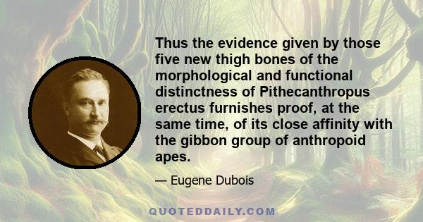 Thus the evidence given by those five new thigh bones of the morphological and functional distinctness of Pithecanthropus erectus furnishes proof, at the same time, of its close affinity with the gibbon group of