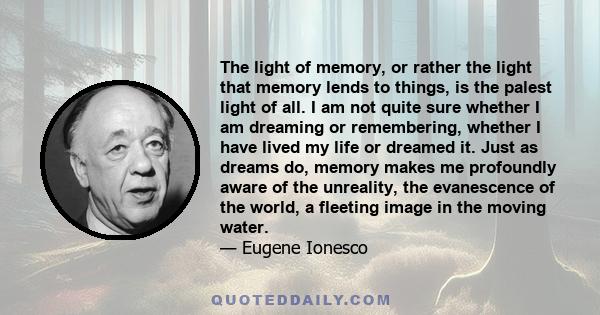 The light of memory, or rather the light that memory lends to things, is the palest light of all. I am not quite sure whether I am dreaming or remembering, whether I have lived my life or dreamed it. Just as dreams do,