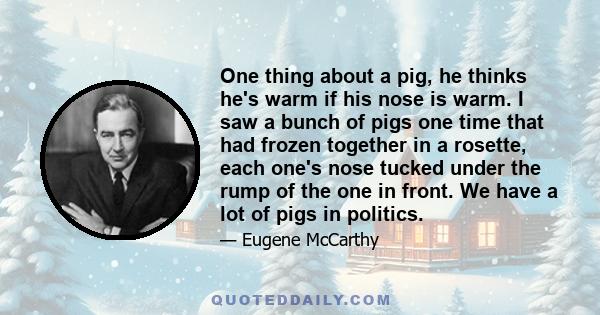 One thing about a pig, he thinks he's warm if his nose is warm. I saw a bunch of pigs one time that had frozen together in a rosette, each one's nose tucked under the rump of the one in front. We have a lot of pigs in