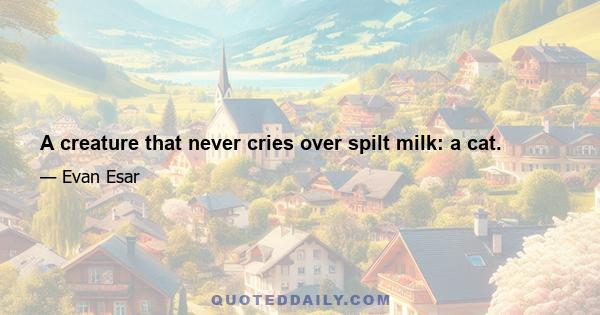 A creature that never cries over spilt milk: a cat.