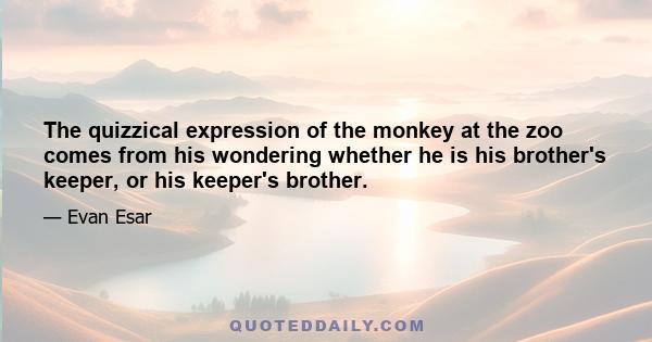 The quizzical expression of the monkey at the zoo comes from his wondering whether he is his brother's keeper, or his keeper's brother.