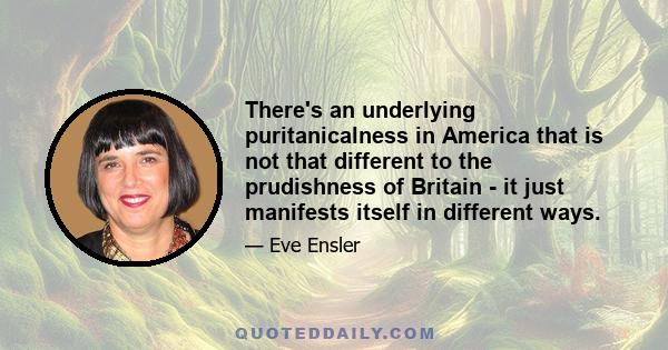 There's an underlying puritanicalness in America that is not that different to the prudishness of Britain - it just manifests itself in different ways.