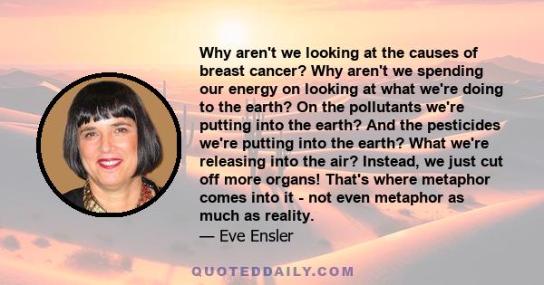 Why aren't we looking at the causes of breast cancer? Why aren't we spending our energy on looking at what we're doing to the earth? On the pollutants we're putting into the earth? And the pesticides we're putting into