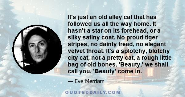 It's just an old alley cat that has followed us all the way home. It hasn't a star on its forehead, or a silky satiny coat. No proud tiger stripes, no dainty tread, no elegant velvet throat. It's a splotchy, blotchy