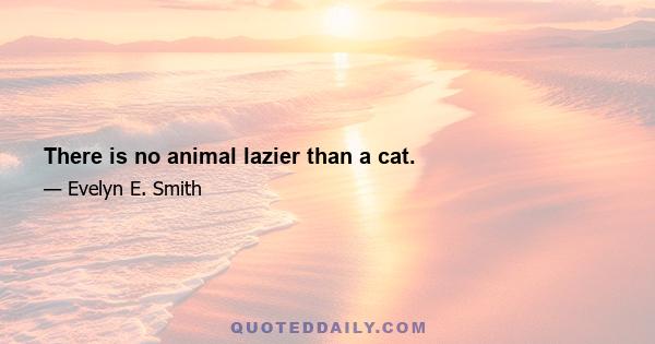 There is no animal lazier than a cat.