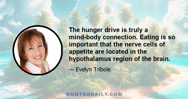 The hunger drive is truly a mind-body connection. Eating is so important that the nerve cells of appetite are located in the hypothalamus region of the brain.