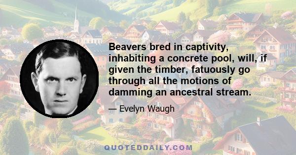 Beavers bred in captivity, inhabiting a concrete pool, will, if given the timber, fatuously go through all the motions of damming an ancestral stream.