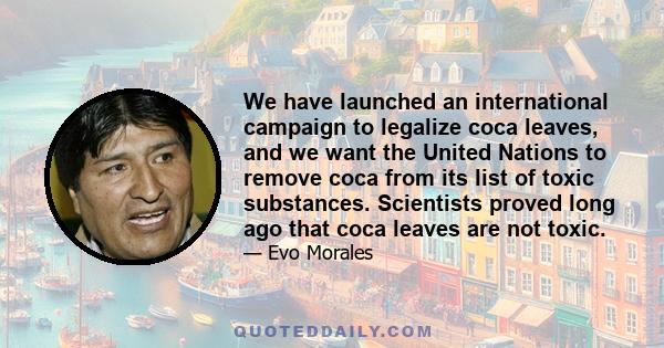 We have launched an international campaign to legalize coca leaves, and we want the United Nations to remove coca from its list of toxic substances. Scientists proved long ago that coca leaves are not toxic.