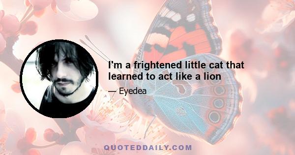 I'm a frightened little cat that learned to act like a lion