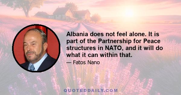 Albania does not feel alone. It is part of the Partnership for Peace structures in NATO, and it will do what it can within that.