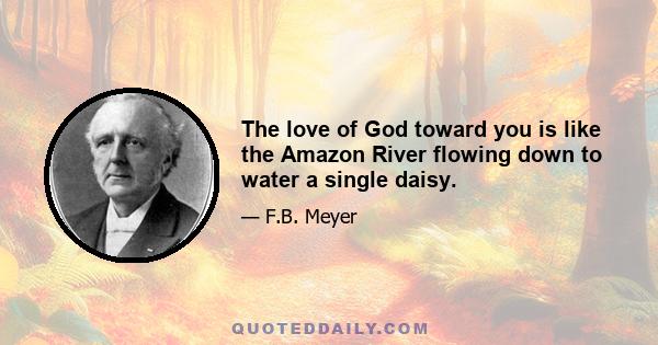 The love of God toward you is like the Amazon River flowing down to water a single daisy.