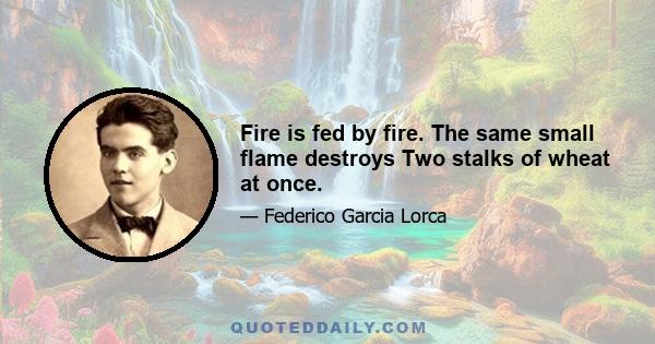 Fire is fed by fire. The same small flame destroys Two stalks of wheat at once.