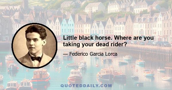 Little black horse. Where are you taking your dead rider?