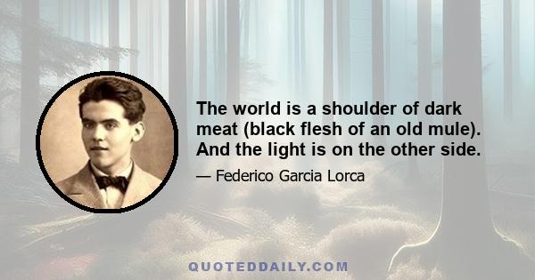 The world is a shoulder of dark meat (black flesh of an old mule). And the light is on the other side.