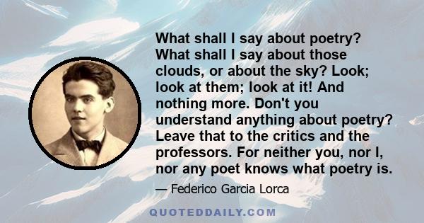 What shall I say about poetry? What shall I say about those clouds, or about the sky? Look; look at them; look at it! And nothing more. Don't you understand anything about poetry? Leave that to the critics and the