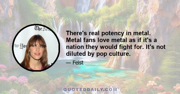 There's real potency in metal. Metal fans love metal as if it's a nation they would fight for. It's not diluted by pop culture.