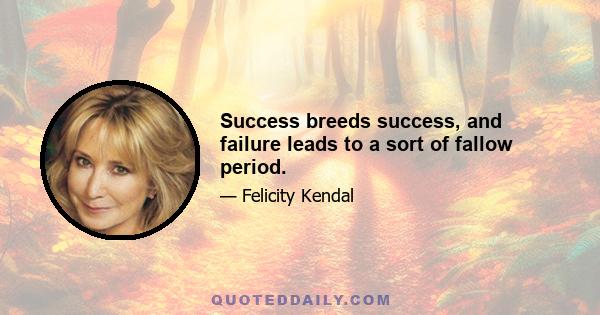 Success breeds success, and failure leads to a sort of fallow period.