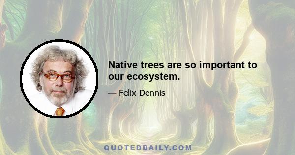 Native trees are so important to our ecosystem.