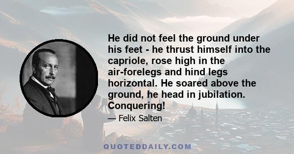 He did not feel the ground under his feet - he thrust himself into the capriole, rose high in the air-forelegs and hind legs horizontal. He soared above the ground, he head in jubilation. Conquering!