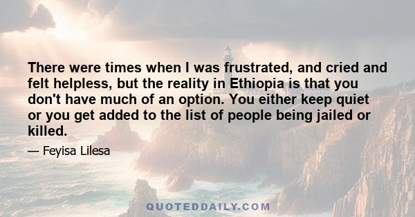 There were times when I was frustrated, and cried and felt helpless, but the reality in Ethiopia is that you don't have much of an option. You either keep quiet or you get added to the list of people being jailed or