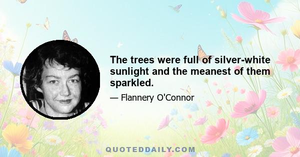 The trees were full of silver-white sunlight and the meanest of them sparkled.