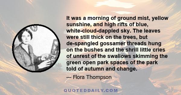 It was a morning of ground mist, yellow sunshine, and high rifts of blue, white-cloud-dappled sky. The leaves were still thick on the trees, but de-spangled gossamer threads hung on the bushes and the shrill little